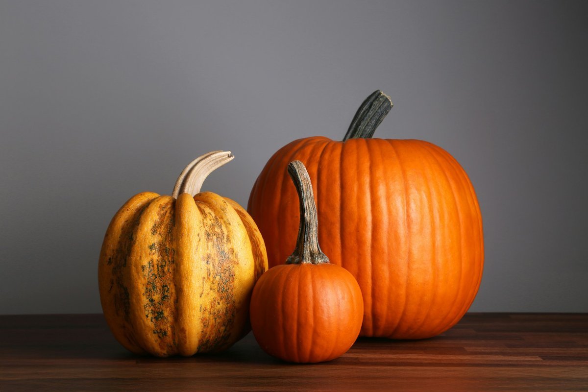 Setting a Wider Table: Meaningful Ways to Give Back This Thanksgiving Across Regina