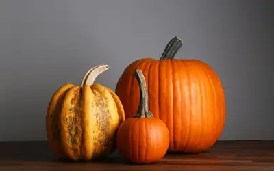 Image à la une pour Setting a Wider Table: Meaningful Ways to Give Back This Thanksgiving Across Regina