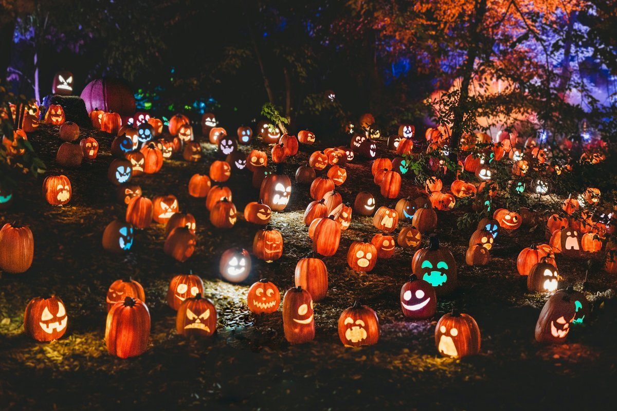 Spooktacular Ways to Give Back: Celebrating Halloween 2026 in Regina