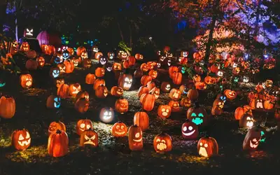 Image à la une pour Spooktacular Ways to Give Back: Celebrating Halloween 2026 in Regina