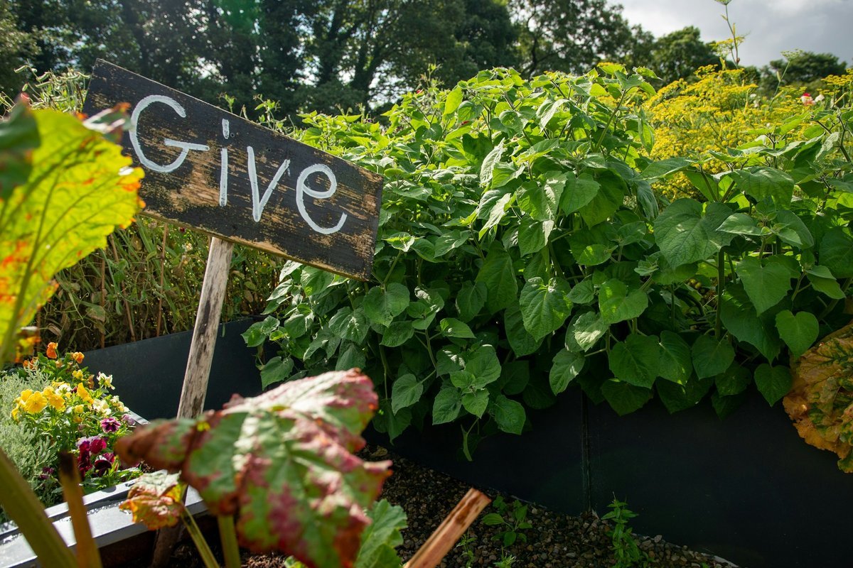 Innovate Today, Nourish Tomorrow: Reimagining Food Security Across Regina