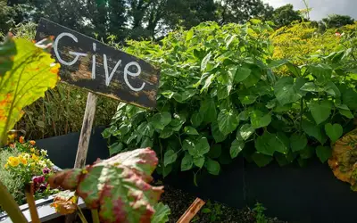 Feature image for Innovate Today, Nourish Tomorrow: Reimagining Food Security Across Regina