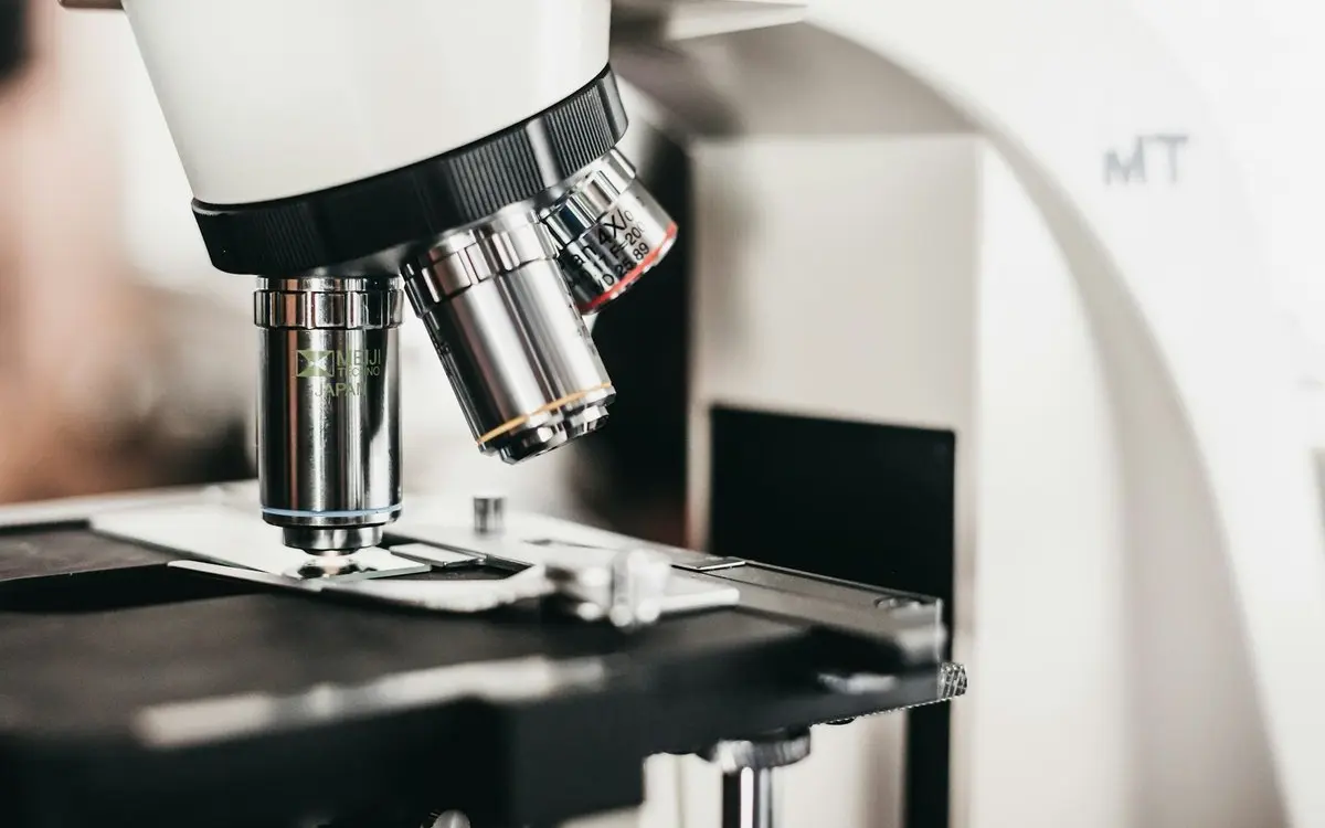 Micro-Volunteering in Regina: How to Make a Big Difference in Just Minutes