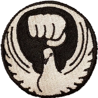 The Regina Shintani Wado Kai Karate Club