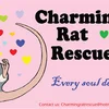 Charming Rat Rescue