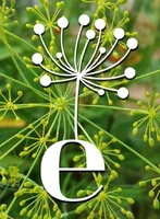 EnviroCollective Network