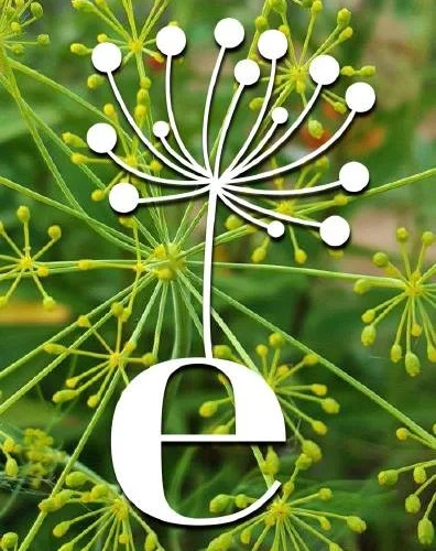 EnviroCollective Network